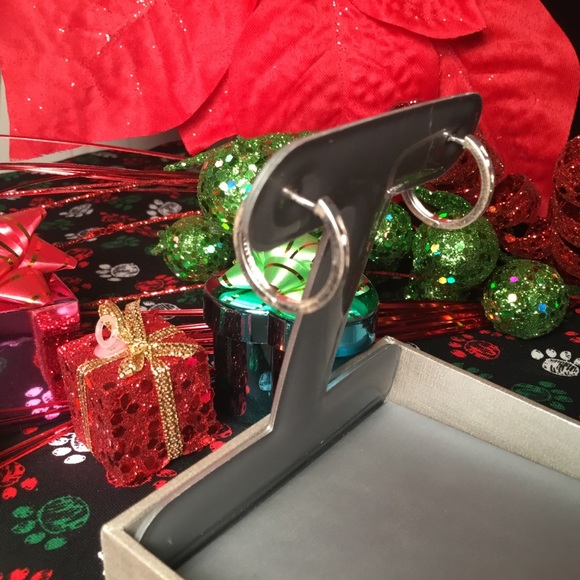 Beautiful Sterling Silver & Blue Diamond Earrings - Picture 3 of 5